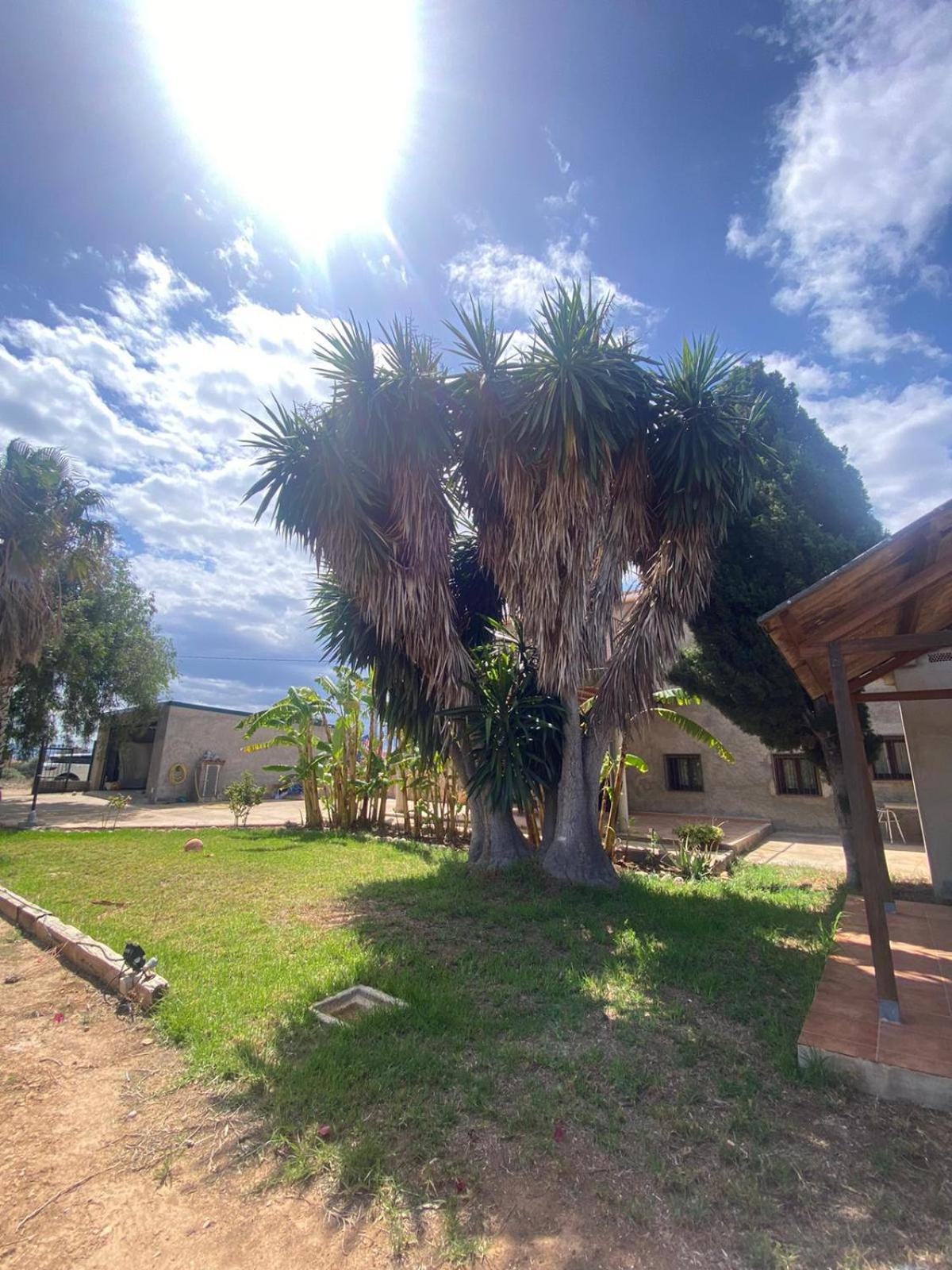 Los Almendros Torrenostra Luaran gambar