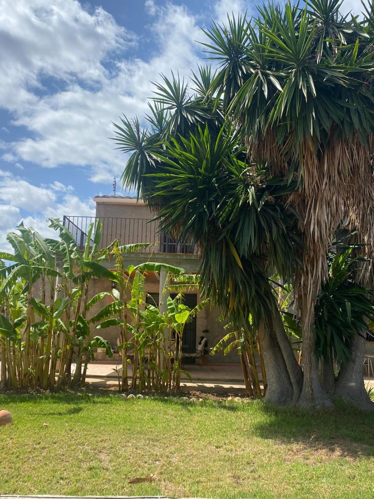 Los Almendros Torrenostra Luaran gambar