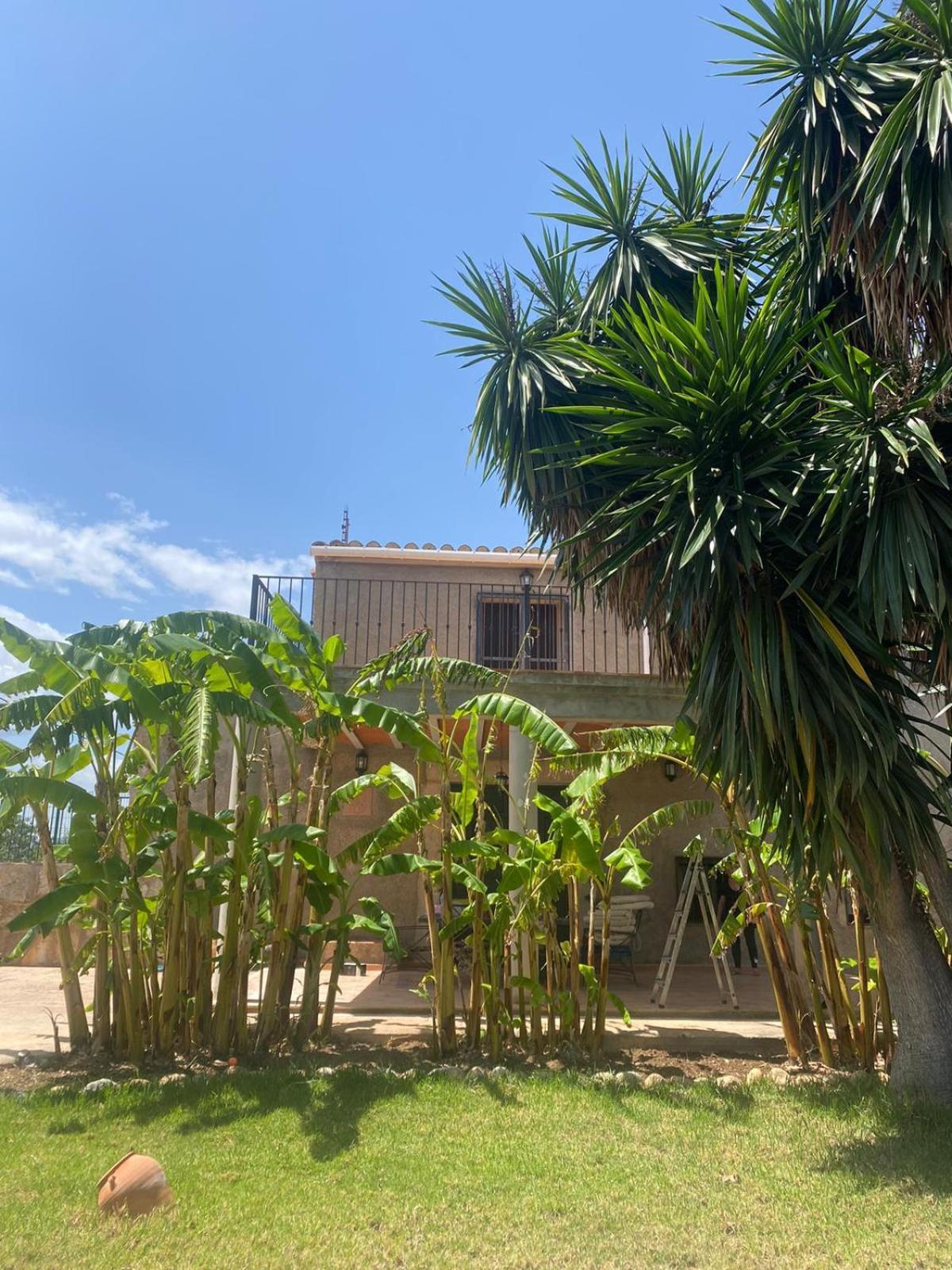 Los Almendros Torrenostra Luaran gambar