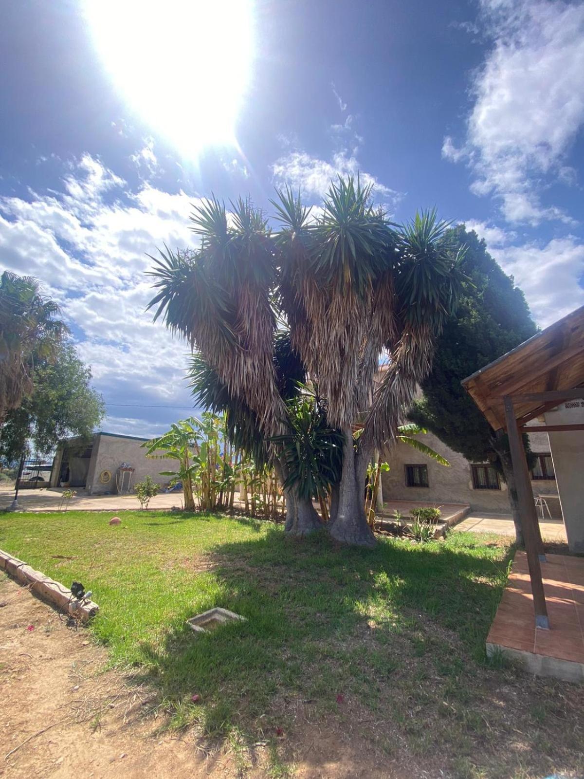 Los Almendros Torrenostra Luaran gambar